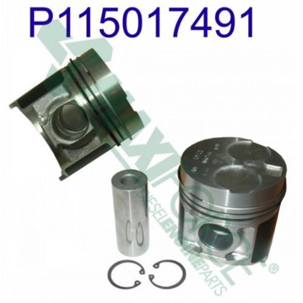 Picture of Piston & Ring Kit, Standard
