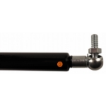 Picture of Hood Gas Strut, 19.125"