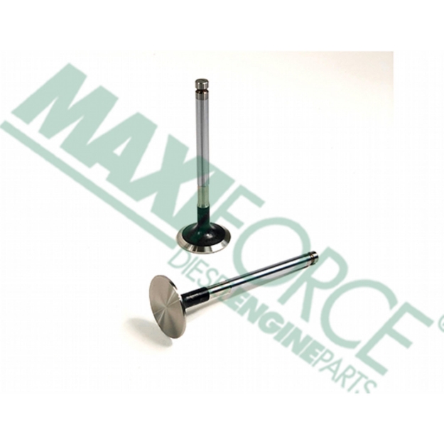 Picture of Exhaust Valve