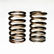 Picture of Outer Valve Spring