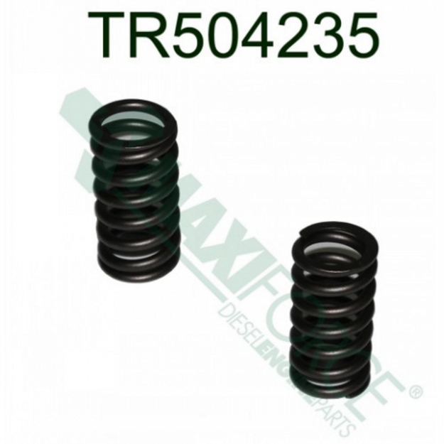 Picture of Valve Spring