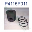 Picture of Piston & Ring Kit, Standard