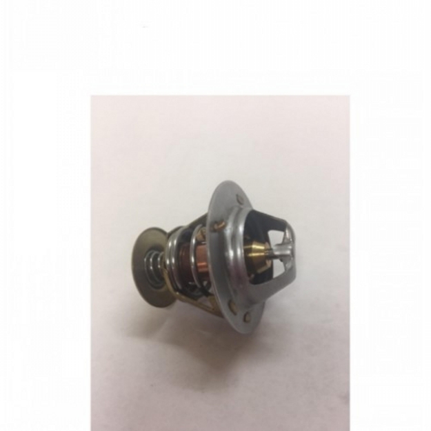 Picture of Thermostat, 180 Degree