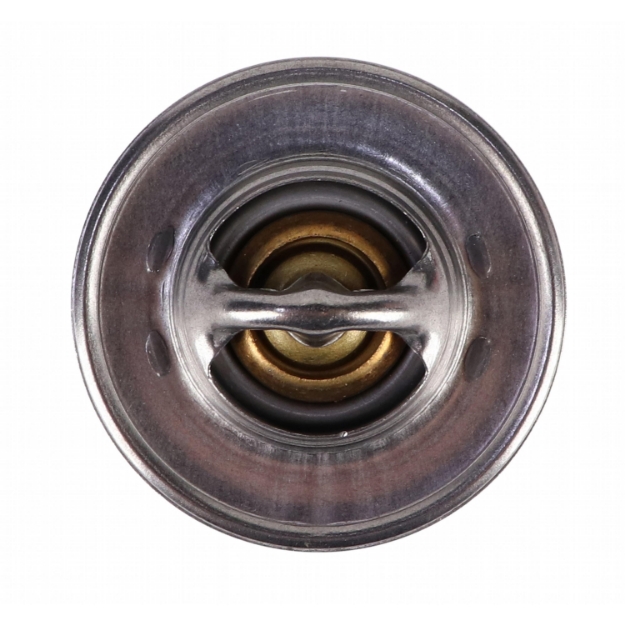 Picture of Thermostat, 180 Degree