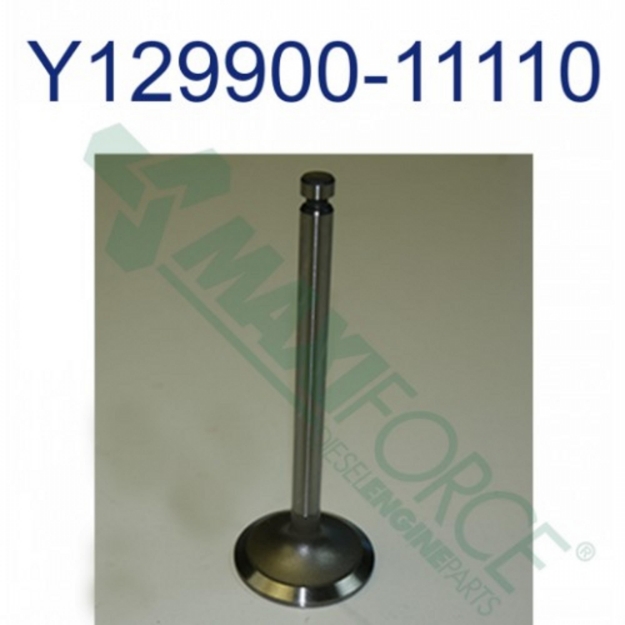Picture of Exhaust Valve