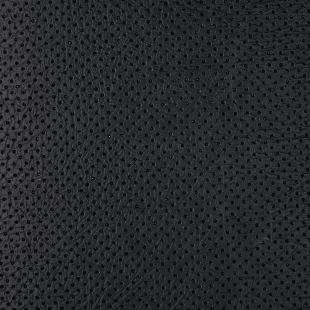 Picture of Door Panel, Black