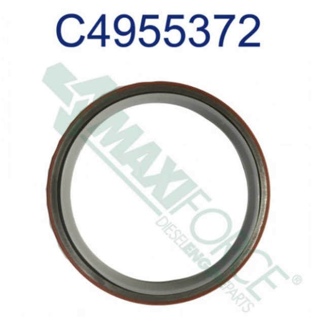 Picture of Rear Crankshaft Seal