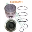 Picture of Piston & Ring Kit, Standard