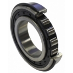 Picture of IPTO Roller Bearing