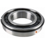 Picture of IPTO Roller Bearing