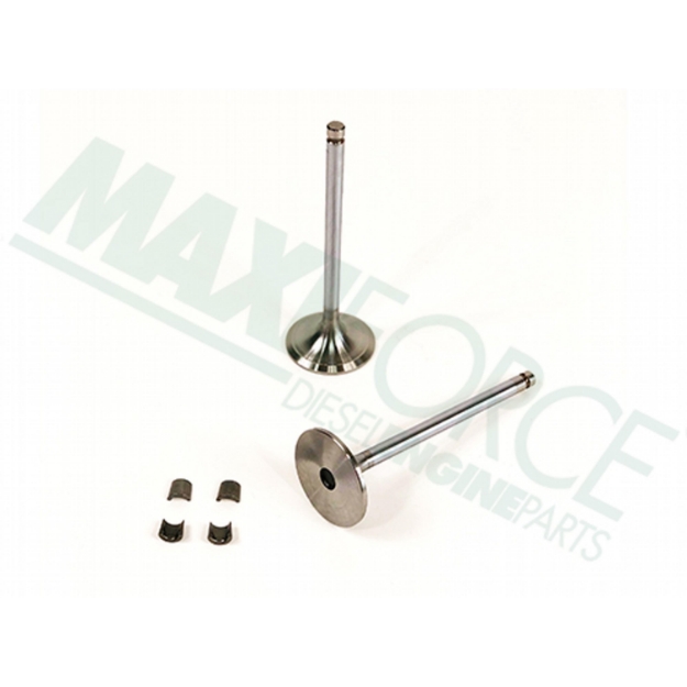 Picture of Intake Valve Kit