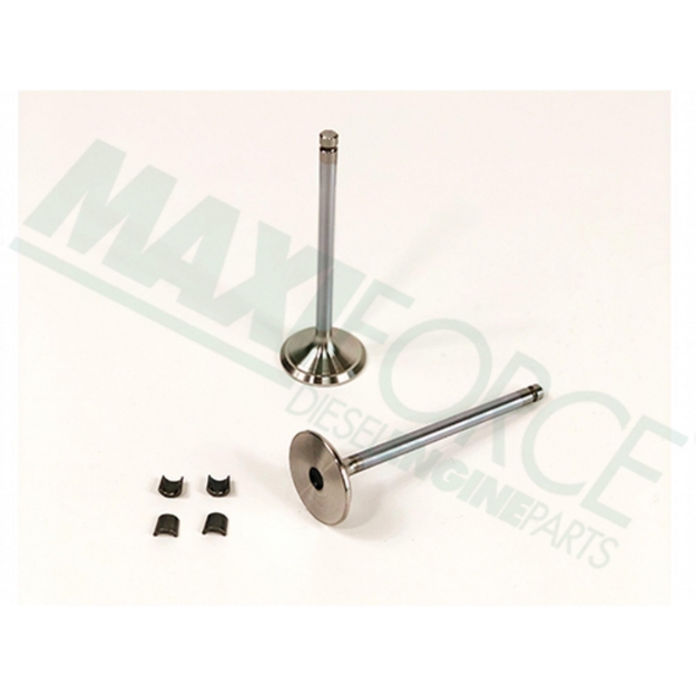 Picture of Exhaust Valve Kit