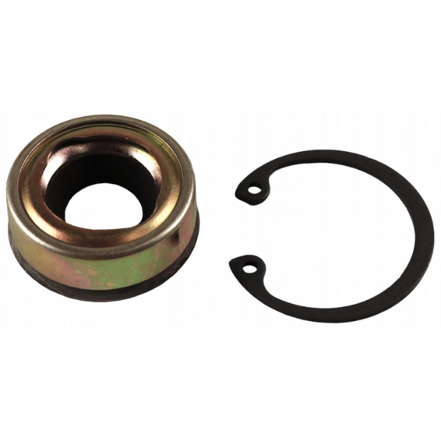 Picture of Sanden Compressor Seal Kit, Lip Seal