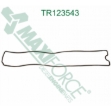 Picture of Rocker Cover Gasket