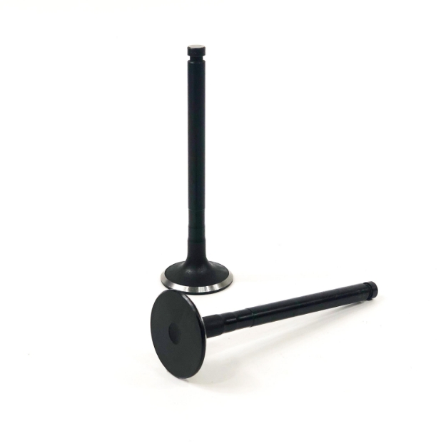 Picture of Exhaust Valve