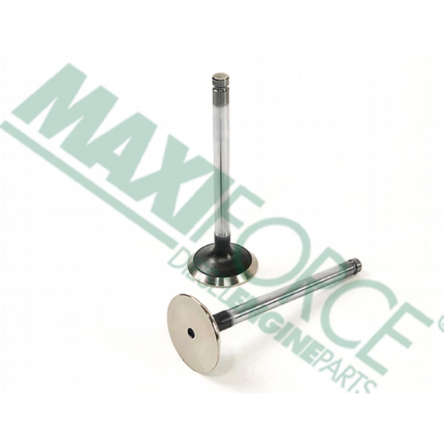 Picture of Exhaust Valve