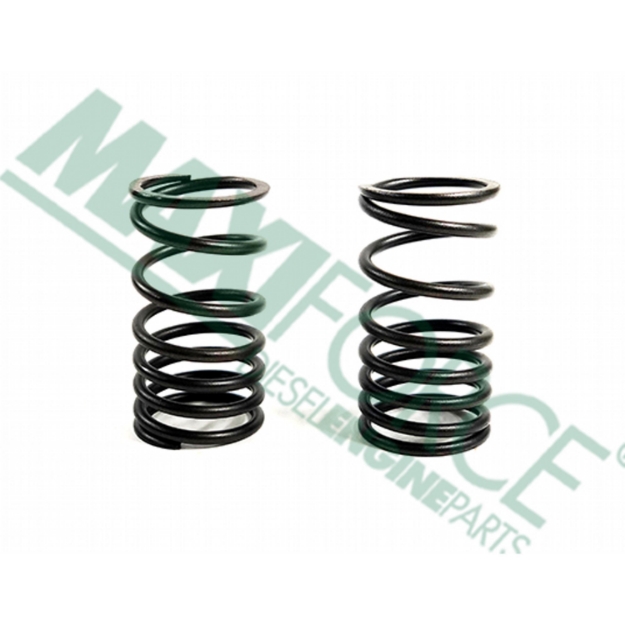 Picture of Outer Valve Spring