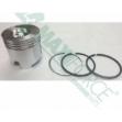 Picture of Piston & Ring Kit, Standard