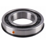 Picture of IPTO Roller Bearing