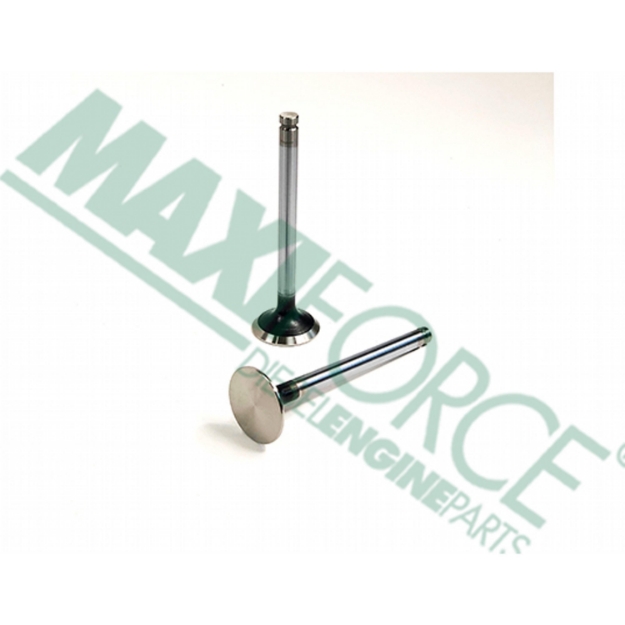 Picture of Exhaust Valve