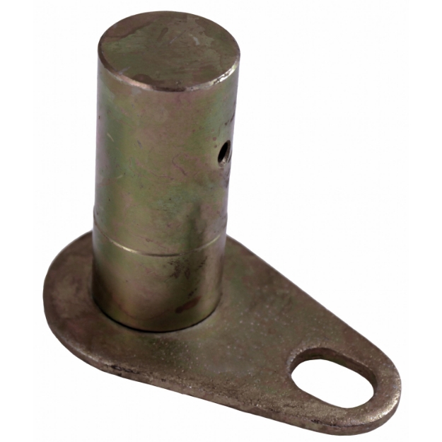 Picture of Pivot Pin, 2WD, Rear