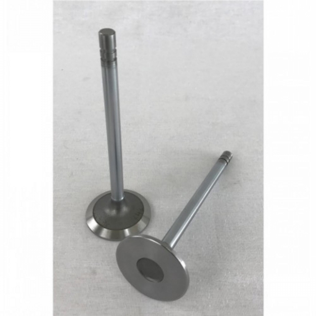 Picture of Intake Valve, Standard