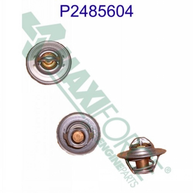 Picture of Thermostat, 180 Degree