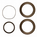 Picture of Dana/Spicer Planetary Wheel Hub Bearing & Seal Kit, MFD