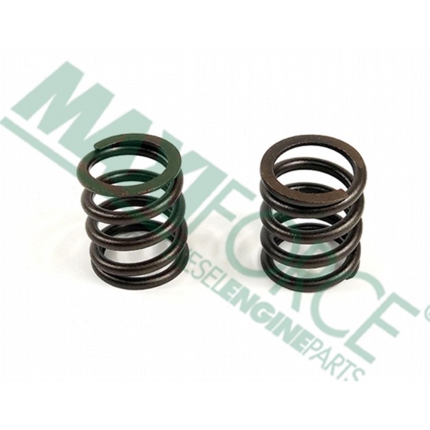 Picture of Valve Spring