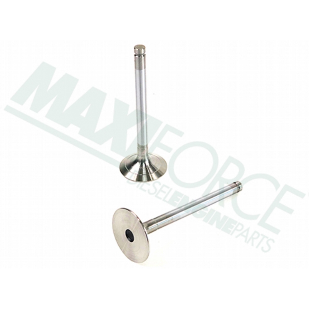 Picture of Intake Valve, 30 Degree