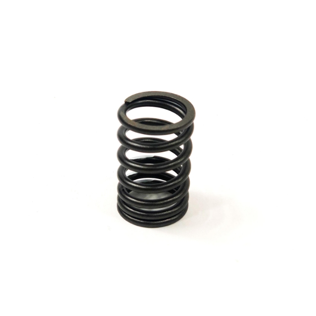 Picture of Valve Spring