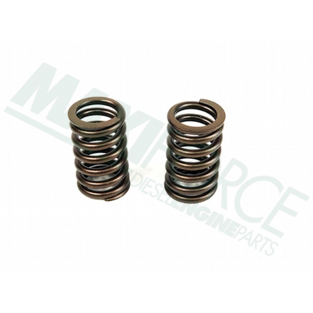 Picture of Valve Spring