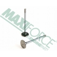 Picture of Intake Valve Kit