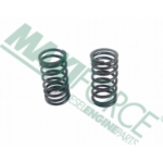 Picture of Inner Valve Spring