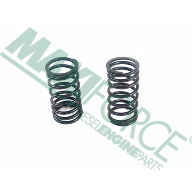 Picture of Inner Valve Spring