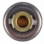 Picture of Thermostat, 180 Degree