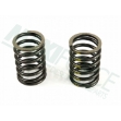 Picture of Outer Valve Spring