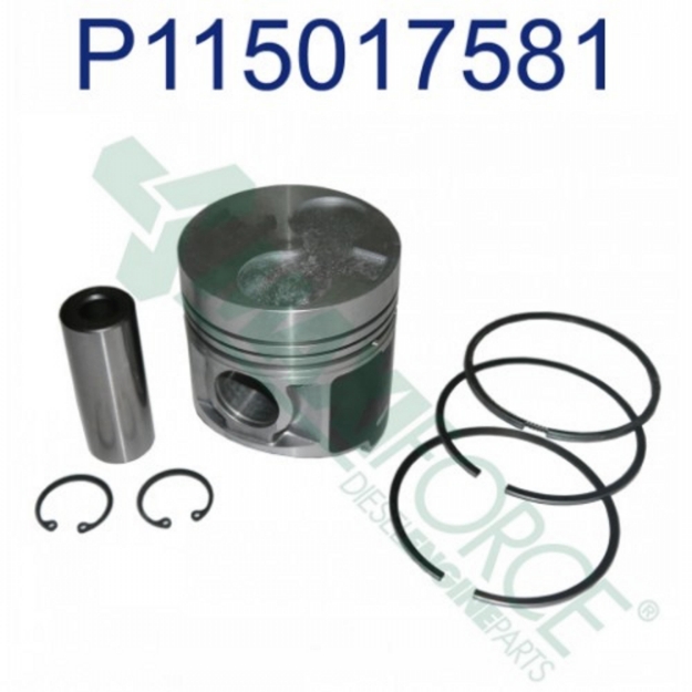 Picture of Piston & Ring Kit, Standard