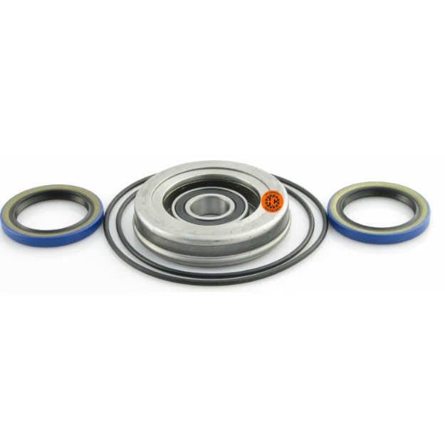 Picture of Clutch Bearings & Seal Kit