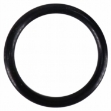 Picture of O-Ring