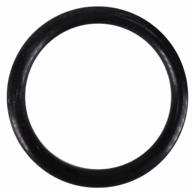 Picture of O-Ring