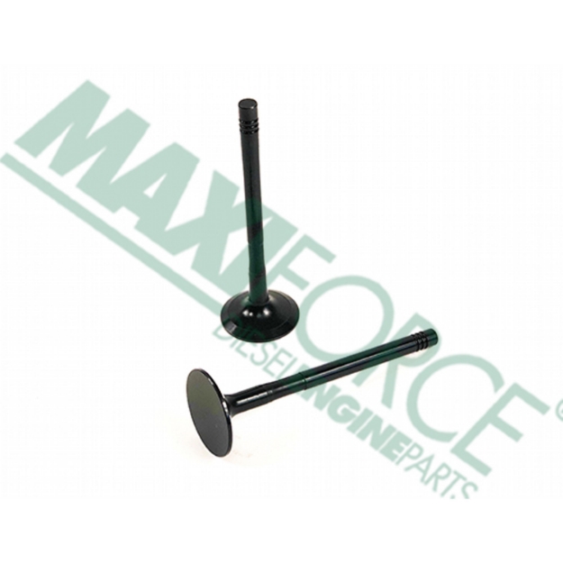 Picture of Exhaust Valve