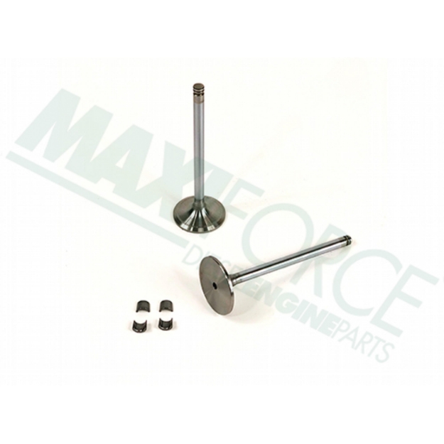 Picture of Intake Valve Kit