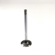 Picture of Intake Valve