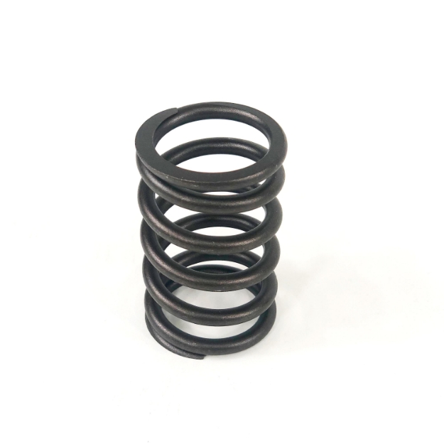 Picture of Outer Valve Spring