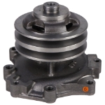 Picture of Water Pump w/ Pulley - New