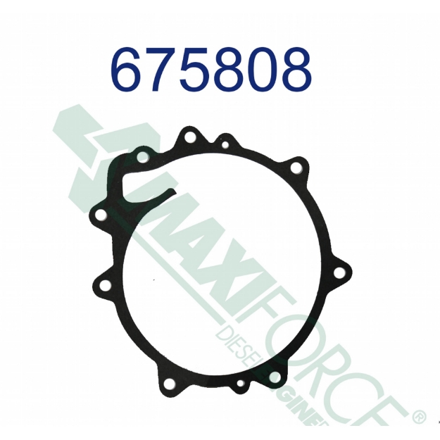 Picture of Water Pump Gasket