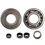 Picture of IPTO Output Shaft Bearing Kit, 540 & 1000 RPM