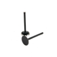 Picture of Intake Valve
