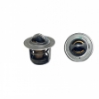Picture of Thermostat, 180 Degree
